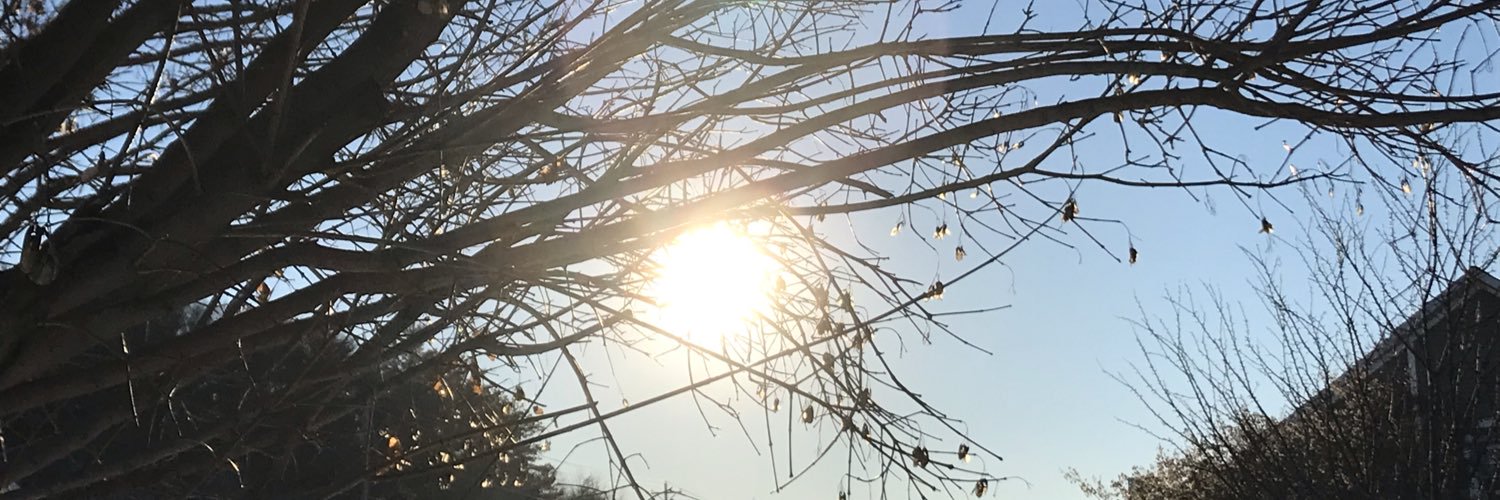 TGonzalez32's profile banner image