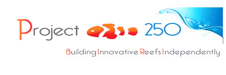 Biri Initiative Org banner