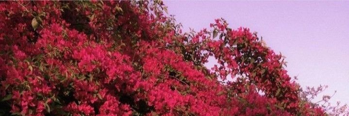 raw14201's profile banner image