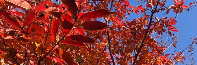 sally_brooks's profile banner image