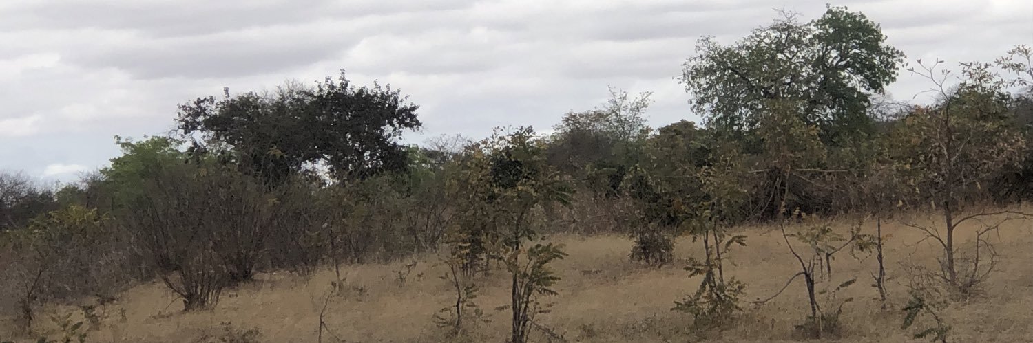 Anotida DC Matema banner