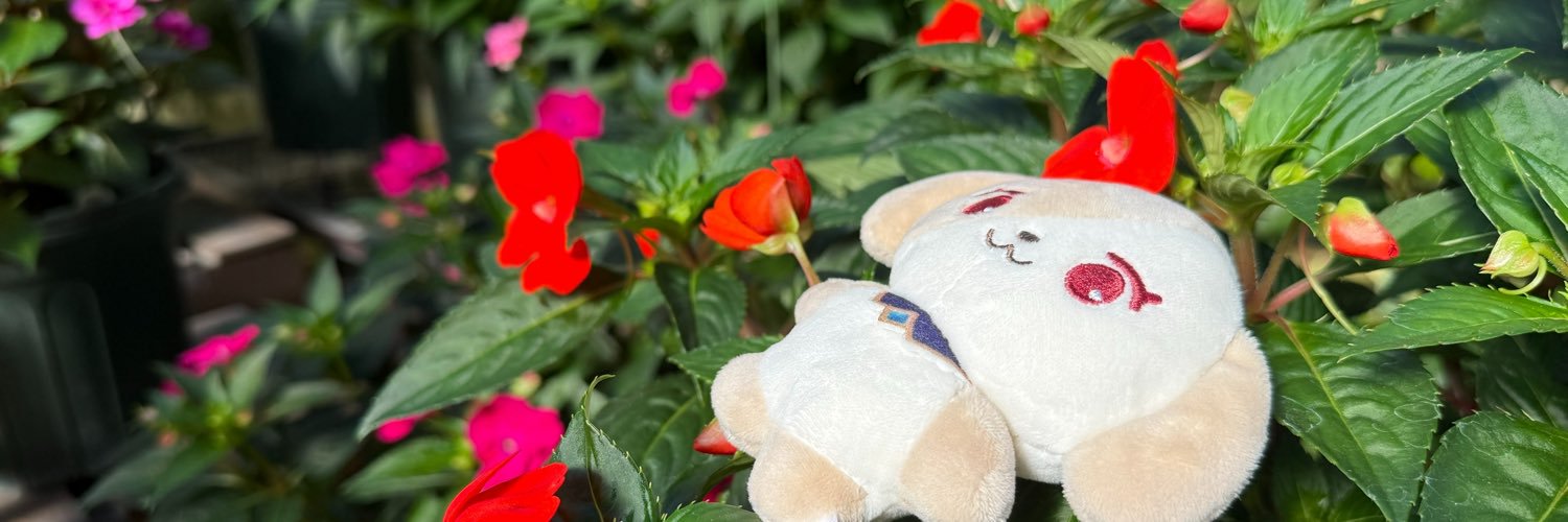 cassisboyT's profile banner image