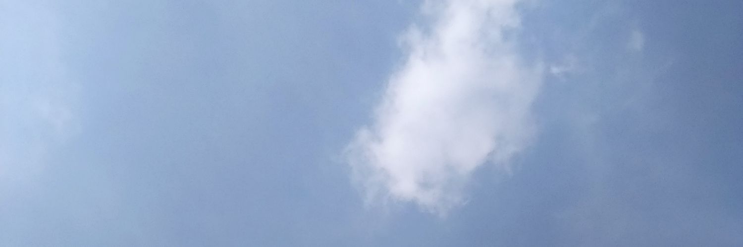 Isanitem's profile banner image
