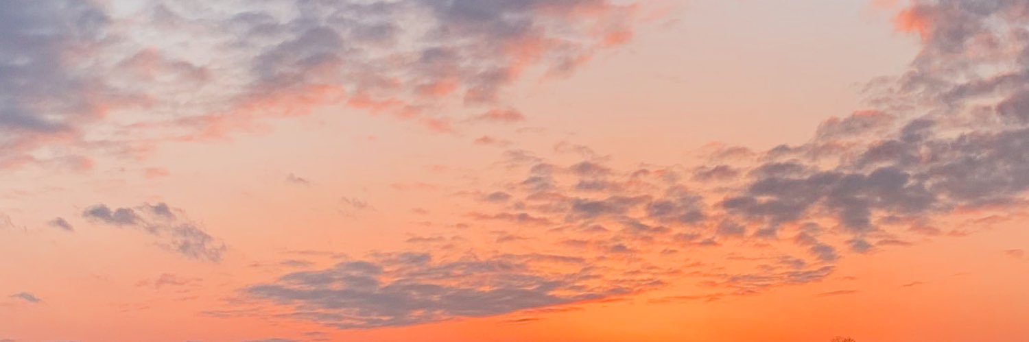 AlyssaBeaudry's profile banner image