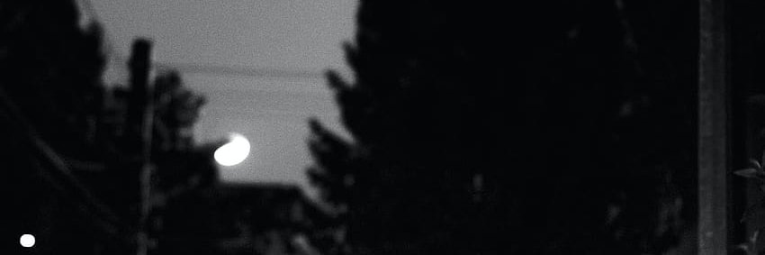 Anne_pre1's profile banner image