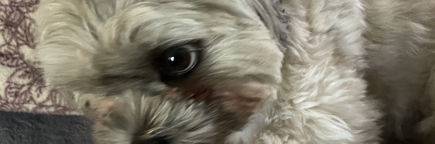 xXbootytootyXx's profile banner image