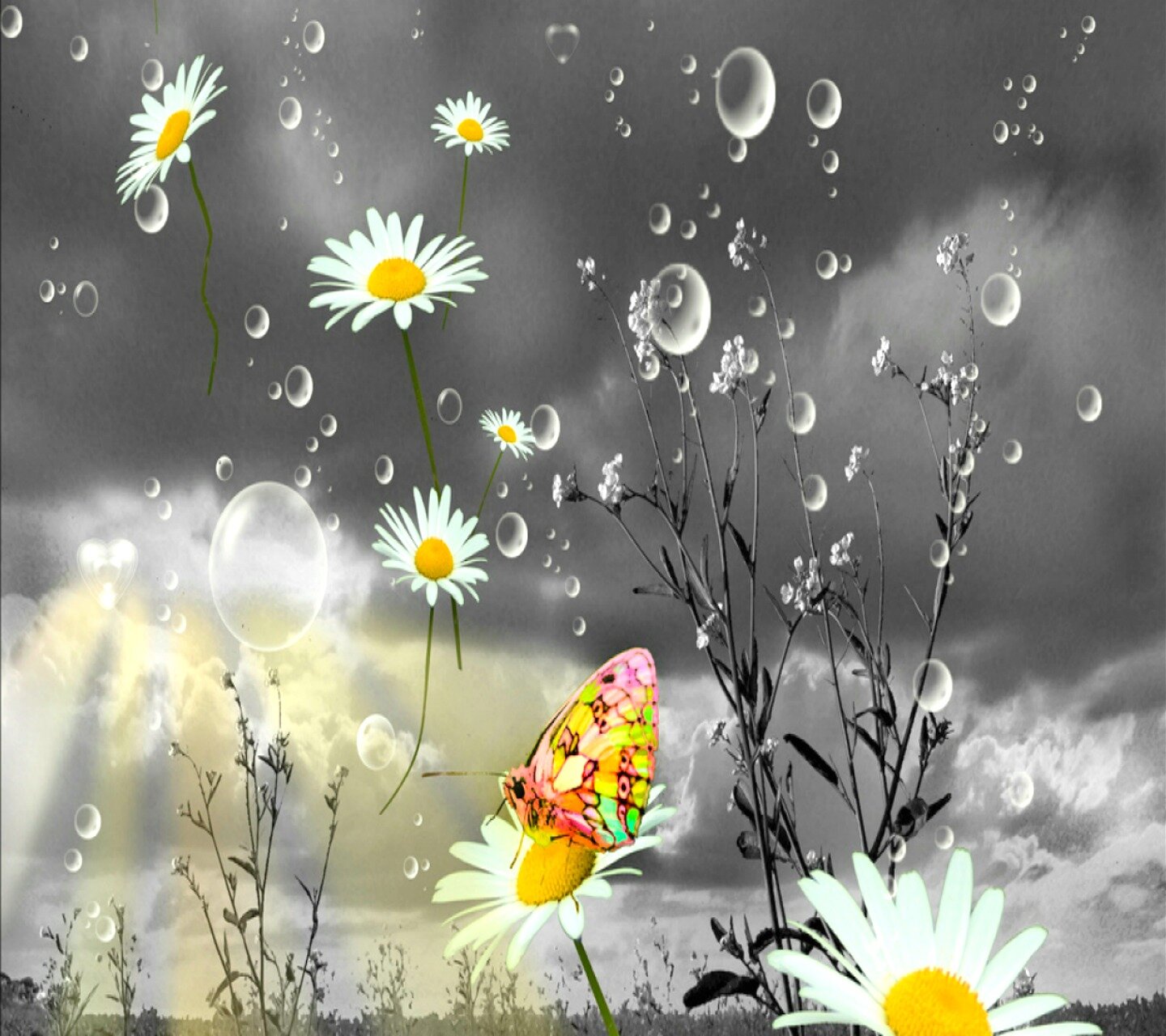 daisyanglim's profile banner image