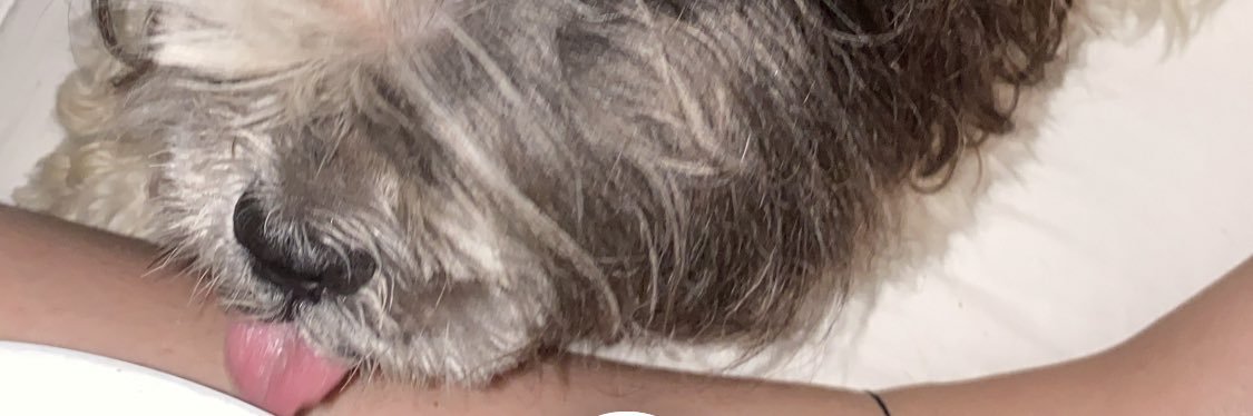 maria manuela banner