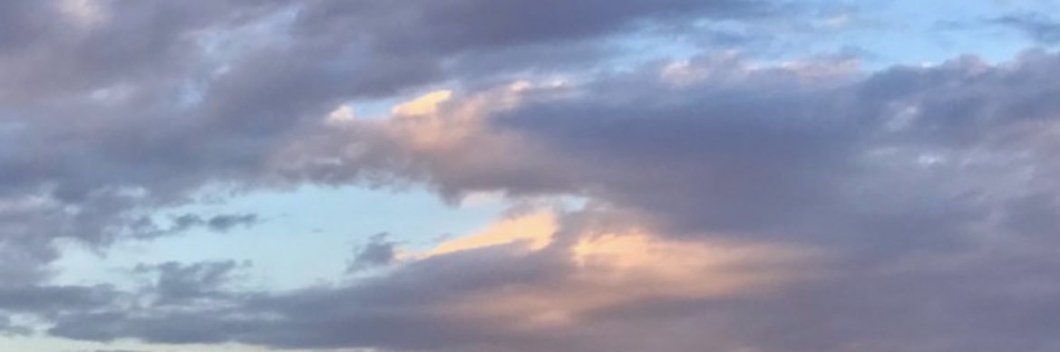 iceweaseleth's profile banner image