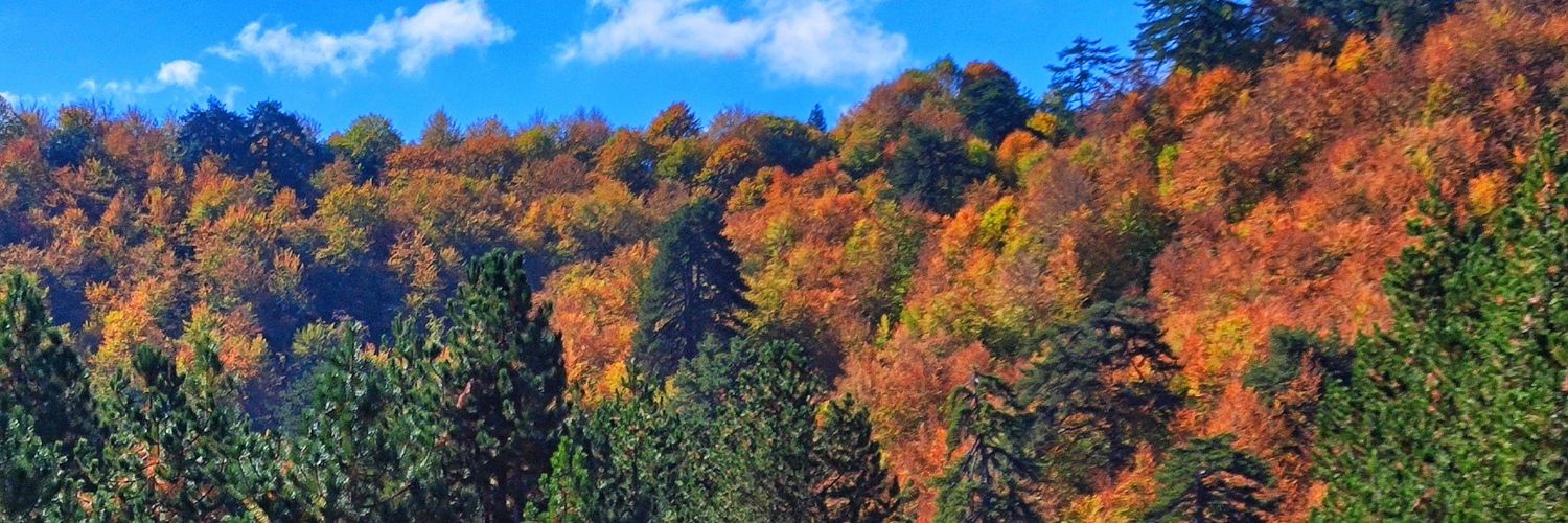 droplou's profile banner image