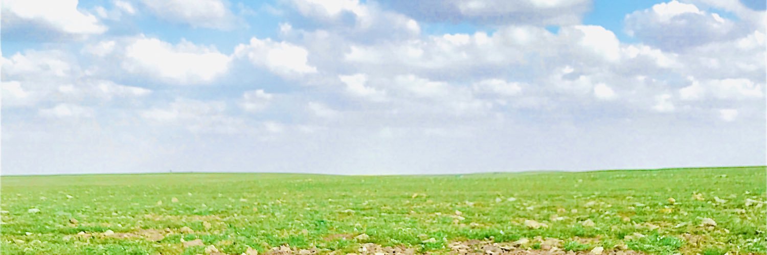 ضيف الله سايرالجلاوي banner