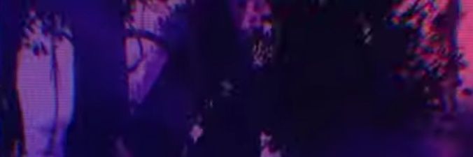 niko banner