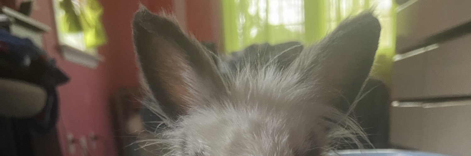 LattexLaura's profile banner image
