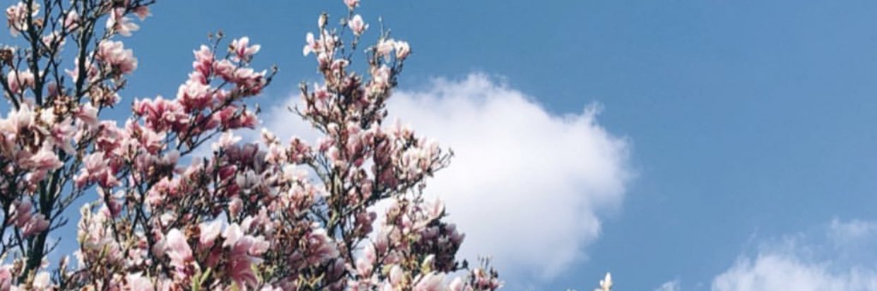 CasteleinLieze's profile banner image