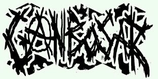 GANBOSAR PUNK banner