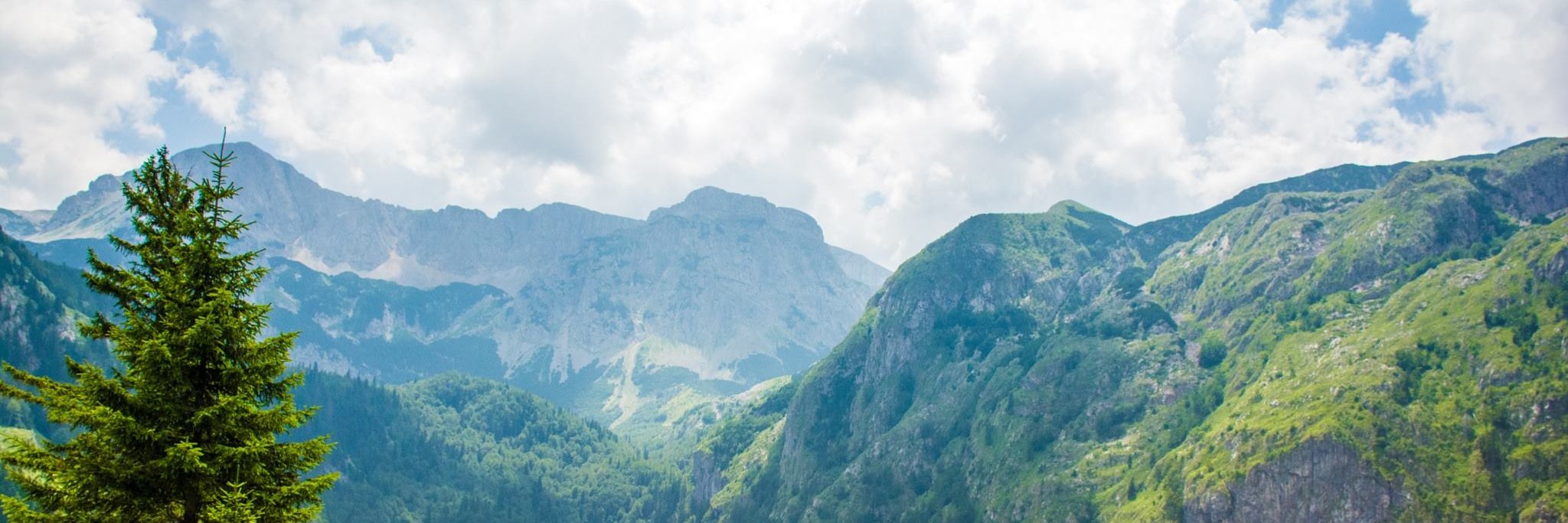 Milan Ivanović banner