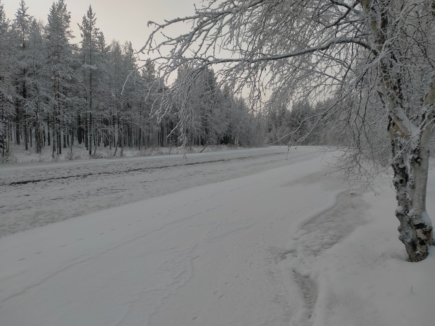 Hindrik Vriesinga🚜🐄🐷🐥 banner