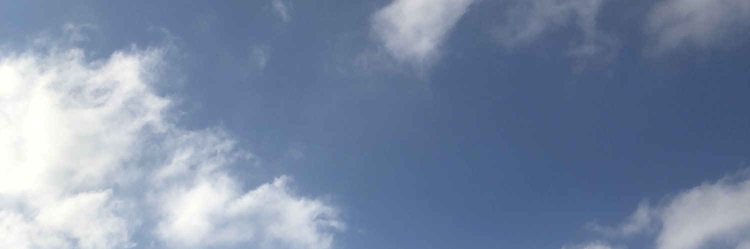 Vektorlen's profile banner image