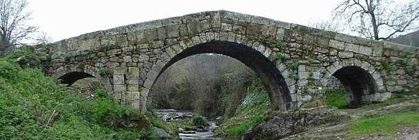 Roberto Media banner