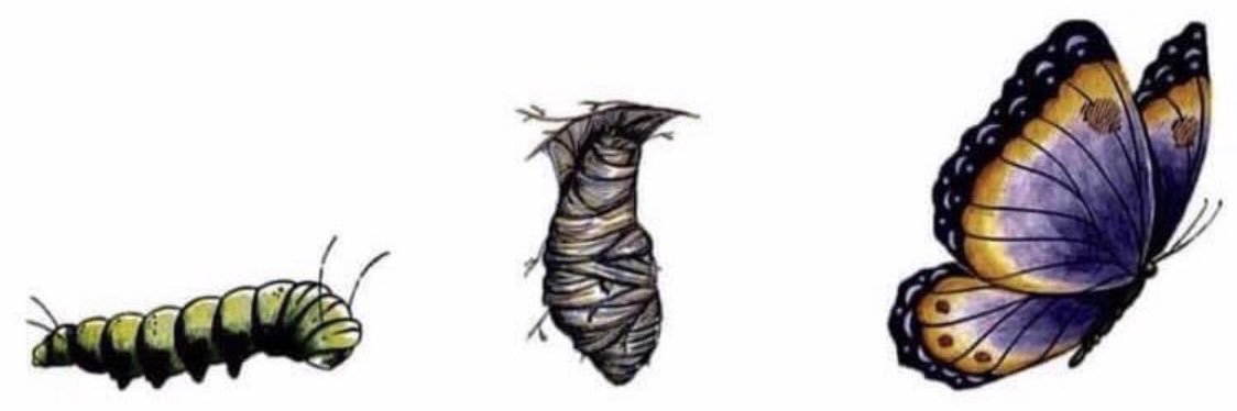 SayAhhG_'s profile banner image