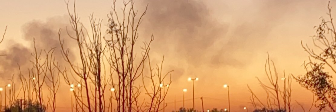 LOLOdear's profile banner image