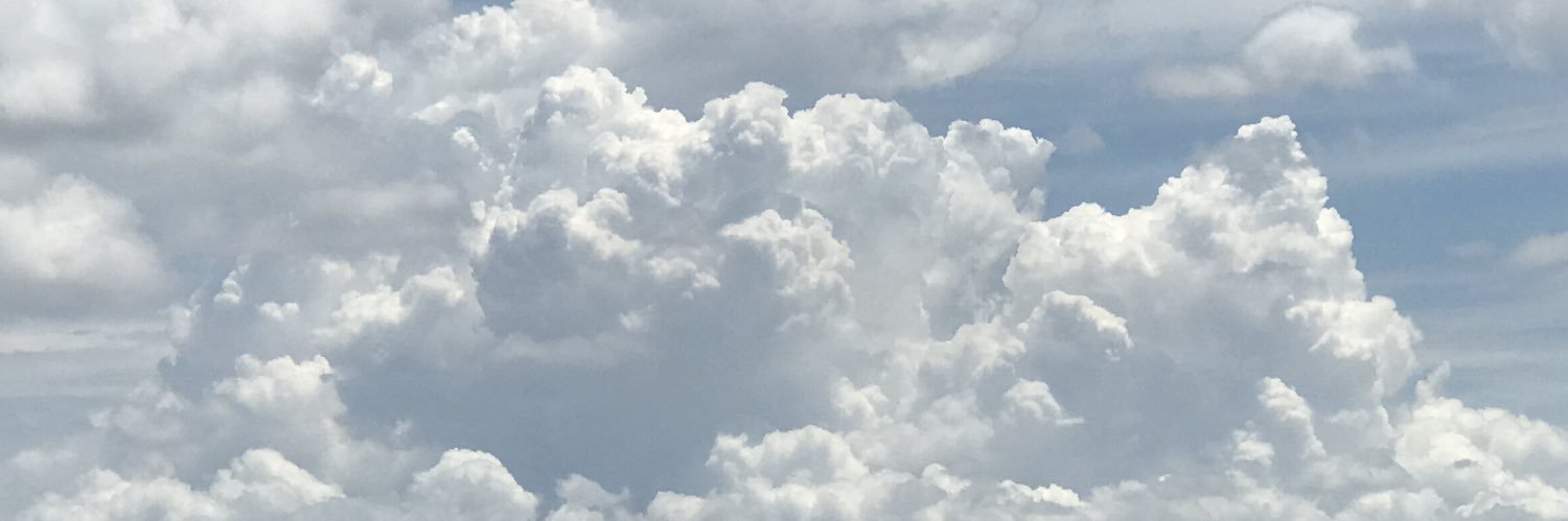 Michael Lindow banner