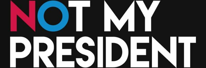 LiberalRose's profile banner image
