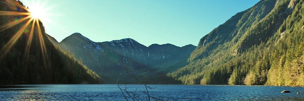 a_matteson's profile banner image