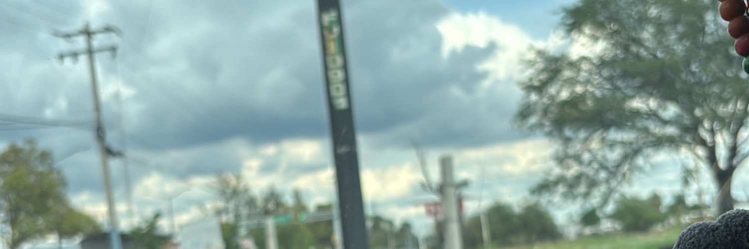 AzadesCoyote's profile banner image