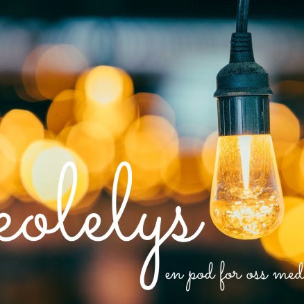 Stine Brynildsen banner