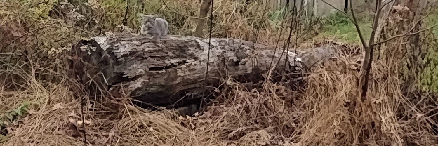 RLMT: withdrawn. Social media went ugly-surreal. banner