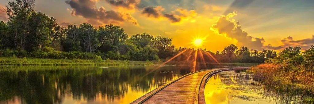 Peace Korea💛💙💜💚❤ banner