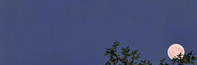 ⭑ banner