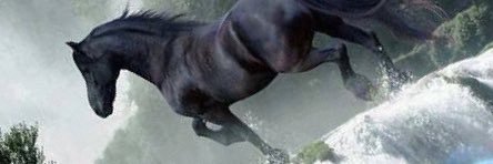 سنــــاء banner