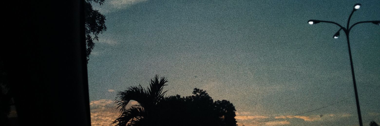 Ren banner