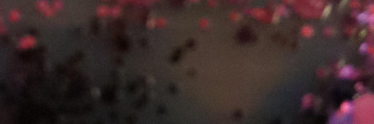 flausensuppe's profile banner image