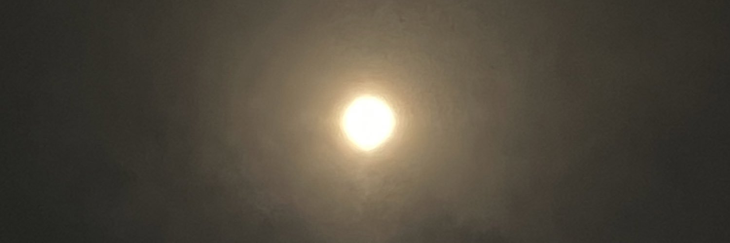 quinnofdream's profile banner image