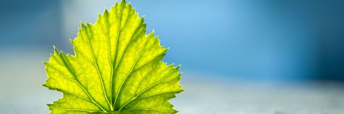 omar_salman72's profile banner image