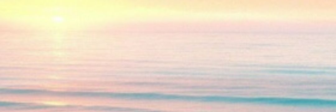 o22982963's profile banner image