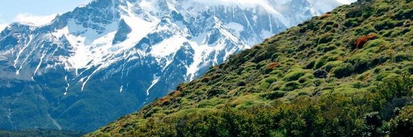 GroeneCourant Profile Banner