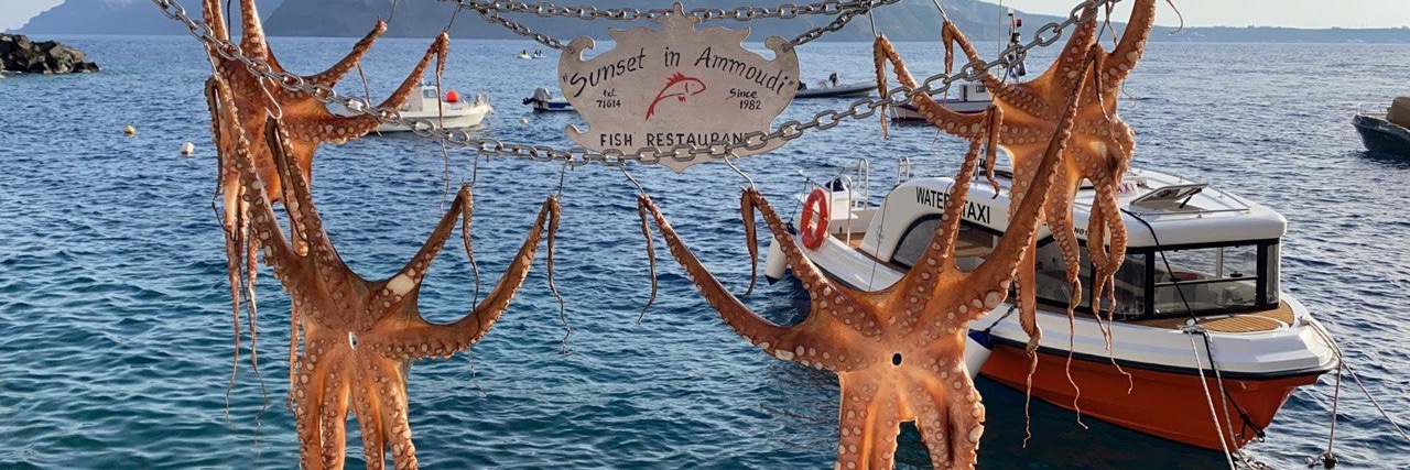 Mike Carleone banner