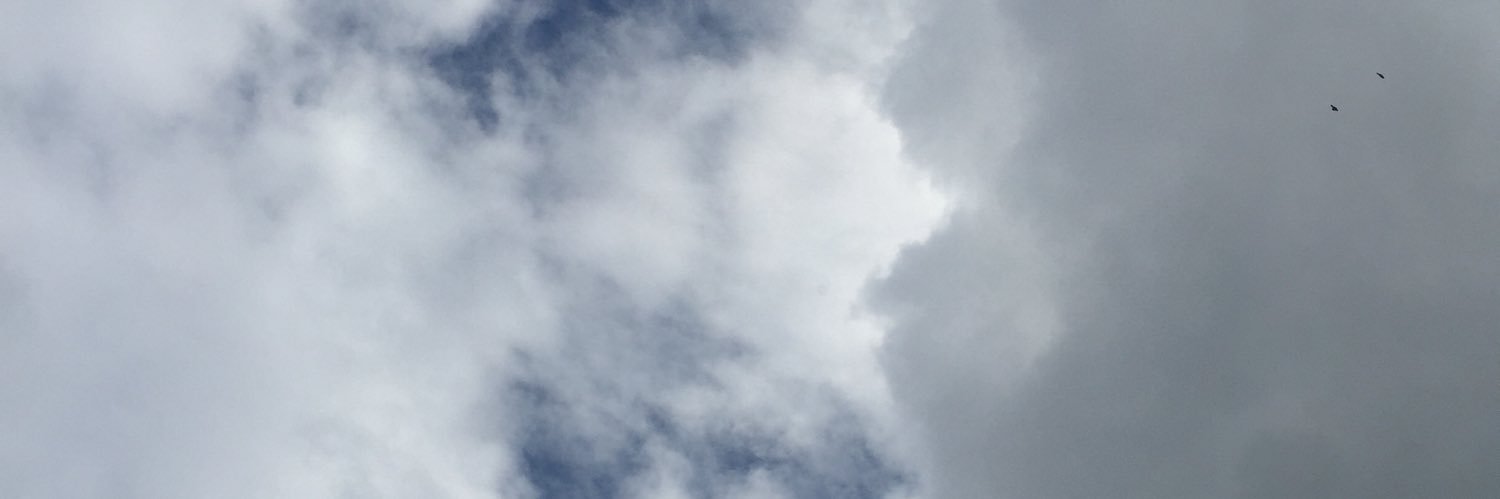 abbolaaja's profile banner image