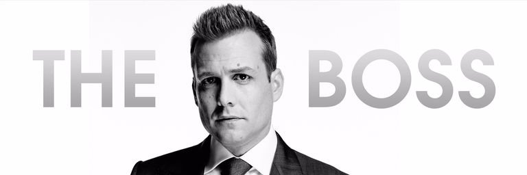 MrHarveySpecter's profile banner image