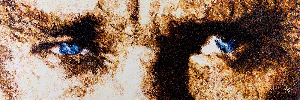AhmetTRZ's profile banner image