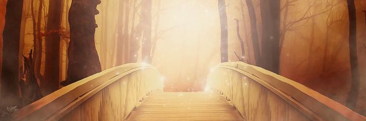 onurokur83's profile banner image