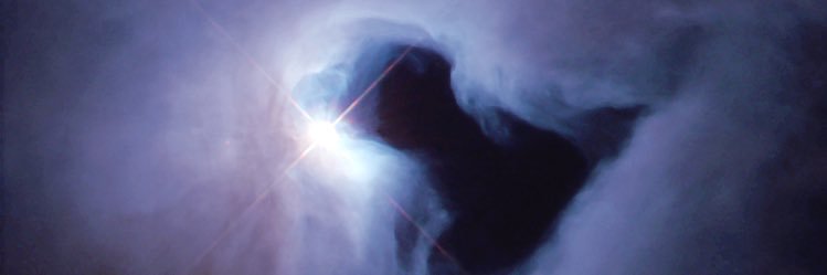 jackiep_2's profile banner image