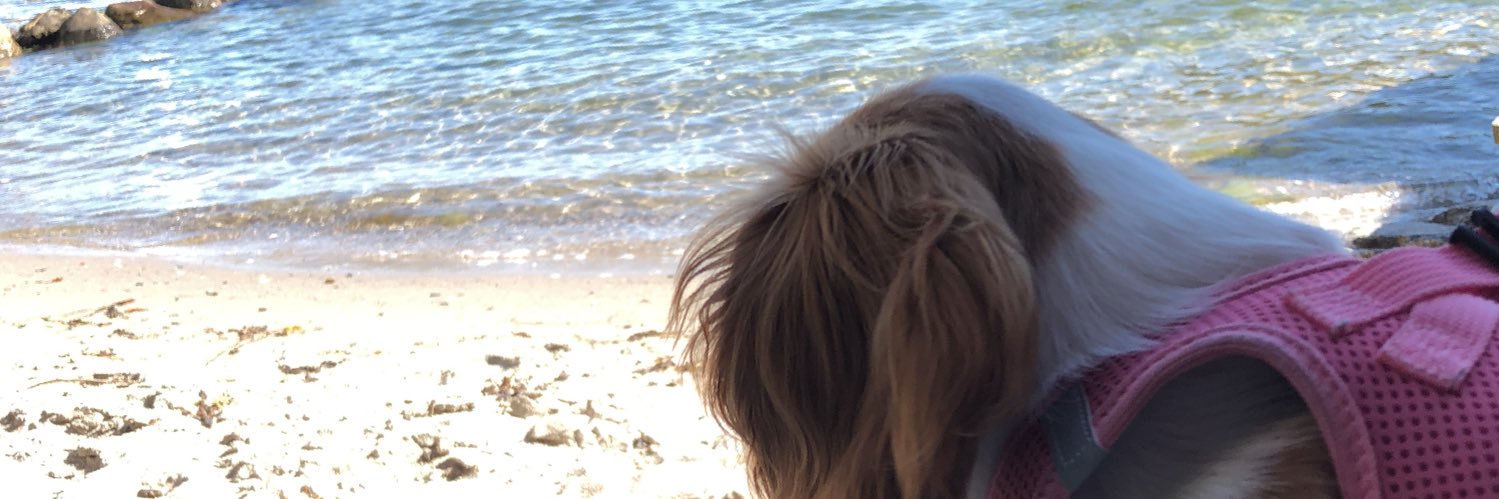 Knotteliten's profile banner image