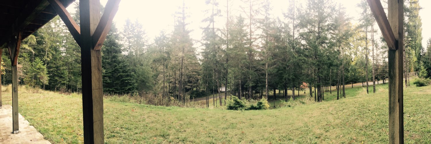 daneback2's profile banner image