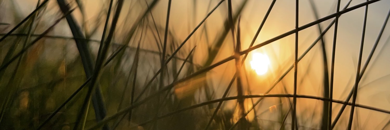 Bastien ⚜️ banner