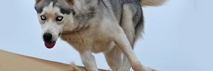 jhash_1's profile banner image